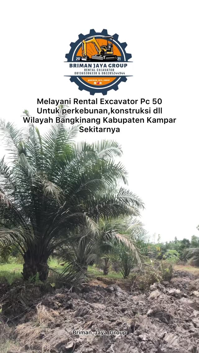 CoreySheffo's tweet photo. Rental Excavator Komatsu PC-50 siap untuk wilayah Bangkinang, Kabupaten Kampar, dan sekitarnya. Berminat? Hubungi: 082285244944 / 081365386330 https://t.co/gEgl89WVug