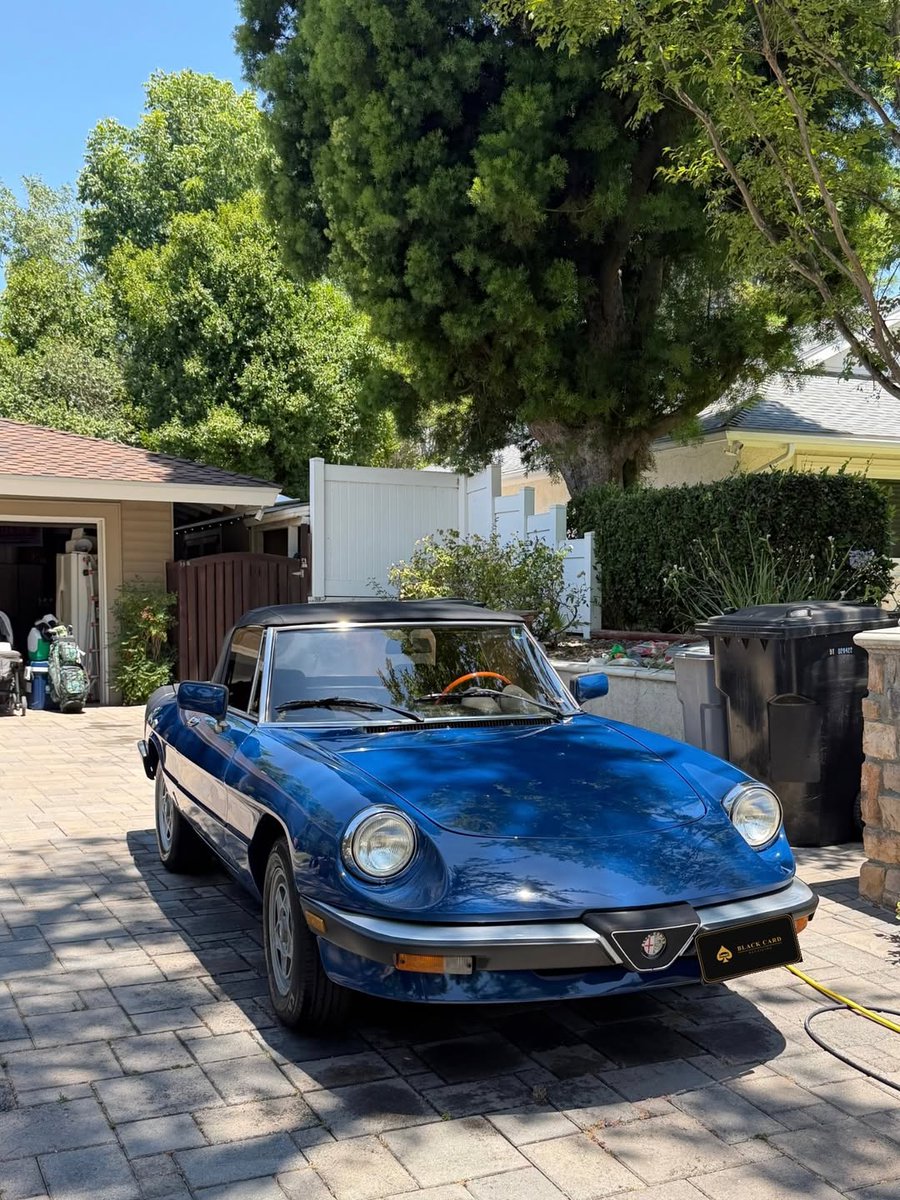 MelanieGabardi's tweet photo. 1985 Alfa Romeo Spider, maintained to perfection. Clean, protected, and ready for every drive. Call, text, or DM to book your maintenance detail. https://t.co/kVL8I7Yp6I