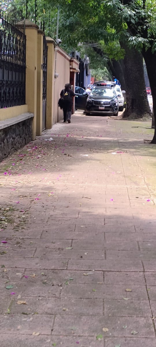 CarlesFerdinand's tweet photo. Descargando sobre la banqueta al fin que no estorban @UCS_GCDMX Av #Azcapotzalco y esquina  #Clavería. 
Colegio Livingstone https://t.co/OqEhJl7Bop