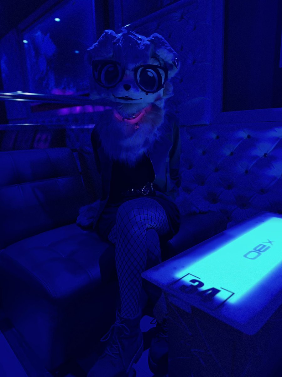 CHERRY_BERIES's tweet photo. Party puppy party https://t.co/esSRpopeNC