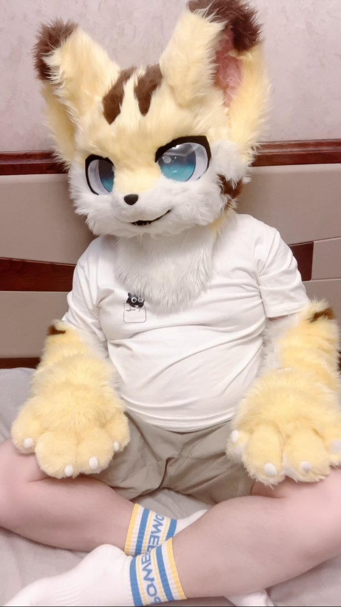 maiixuuu's tweet photo. 衣服和我都是猫猫
#FursuitFriday https://t.co/ASy9PsKD6V