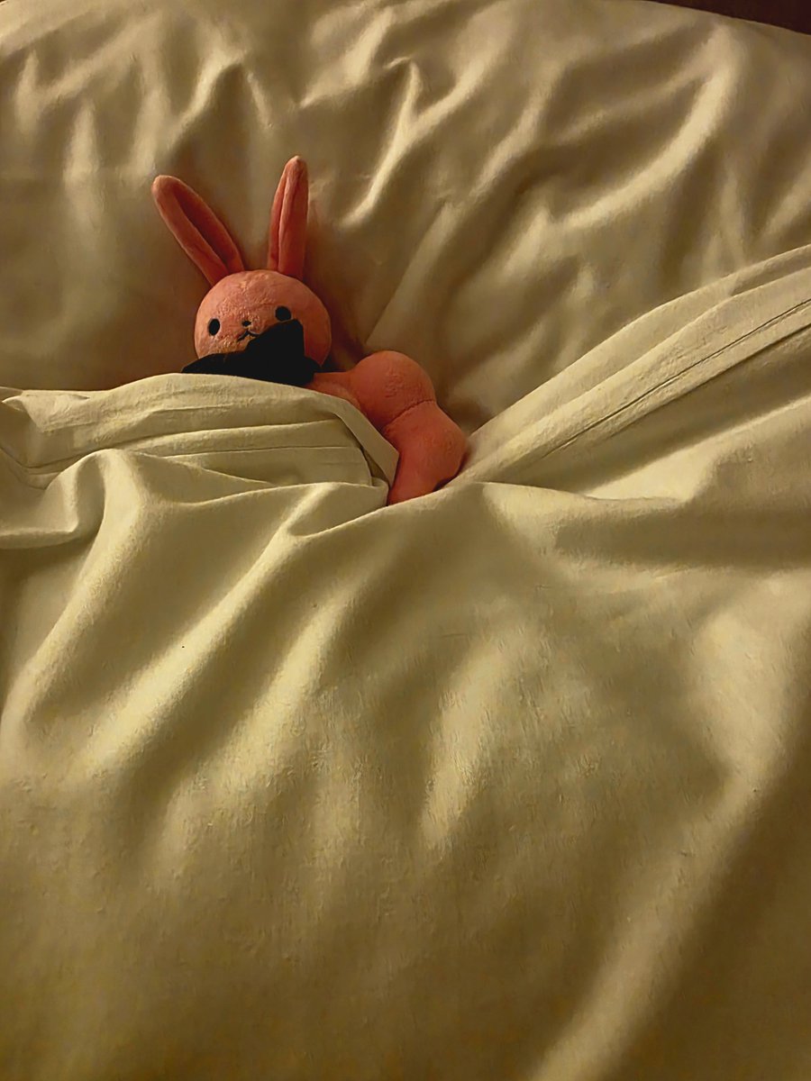 PenOugi's tweet photo. Next day, it was goodbye to France and a start of long days of travel for us. We started really early in the morning to catch a train to Brussels and had another transfer at Cologne before staying overnight in Hamburg.

#musclebunnyfriend #plushdoll #plushie https://t.co/EFId3p4Wo3