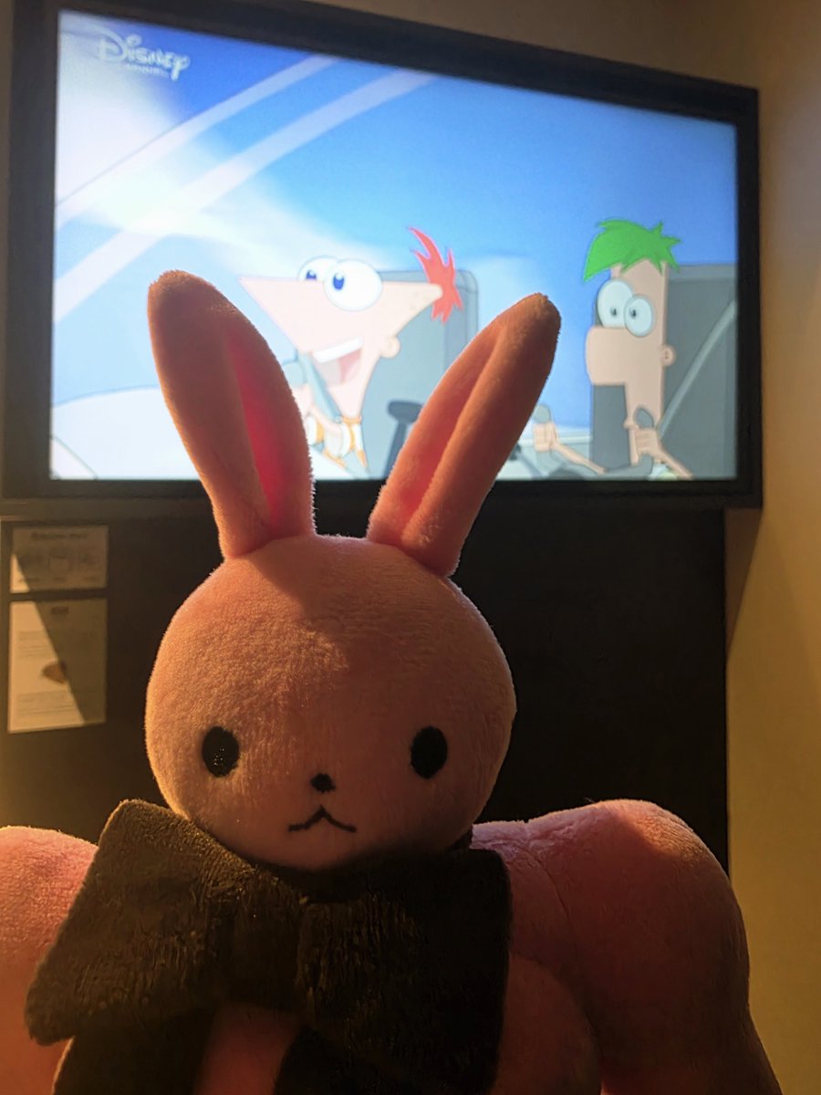PenOugi's tweet photo. Next day, it was goodbye to France and a start of long days of travel for us. We started really early in the morning to catch a train to Brussels and had another transfer at Cologne before staying overnight in Hamburg.

#musclebunnyfriend #plushdoll #plushie https://t.co/EFId3p4Wo3