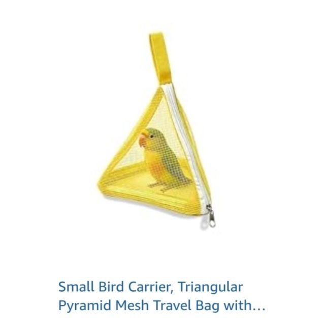 equine__dentist's tweet photo. *puts your tiny body in here and clips you to my size 32 cargo shorts with a carabiner* https://t.co/SHSZuX4kao