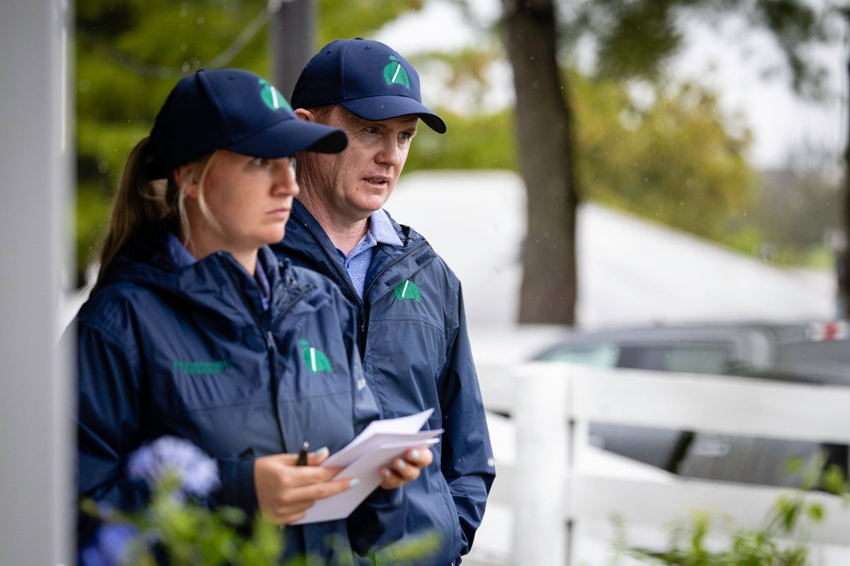 FedamoreStable's tweet photo. Around the barn at Keeneland September Book 1. 🐴 

Come see us in Barn 11. 👋 https://t.co/OVXjXiLcTF