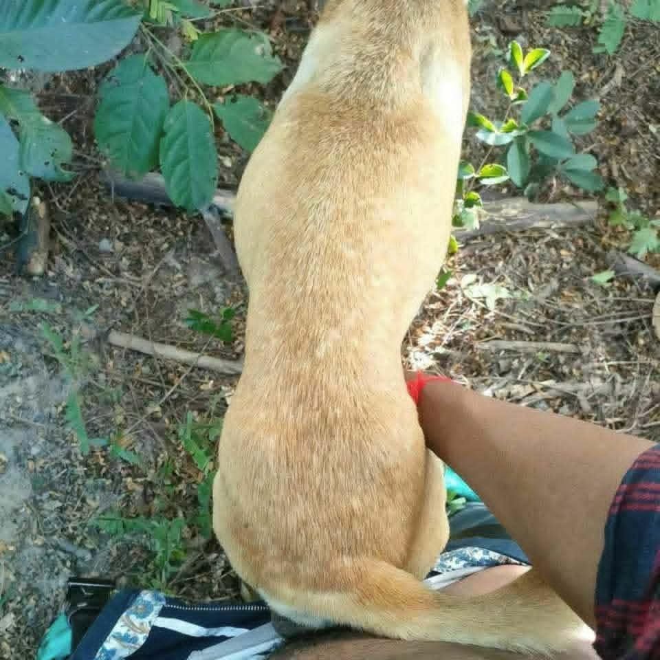 khunrit4's tweet photo. https://t.co/wXtmD0whKi