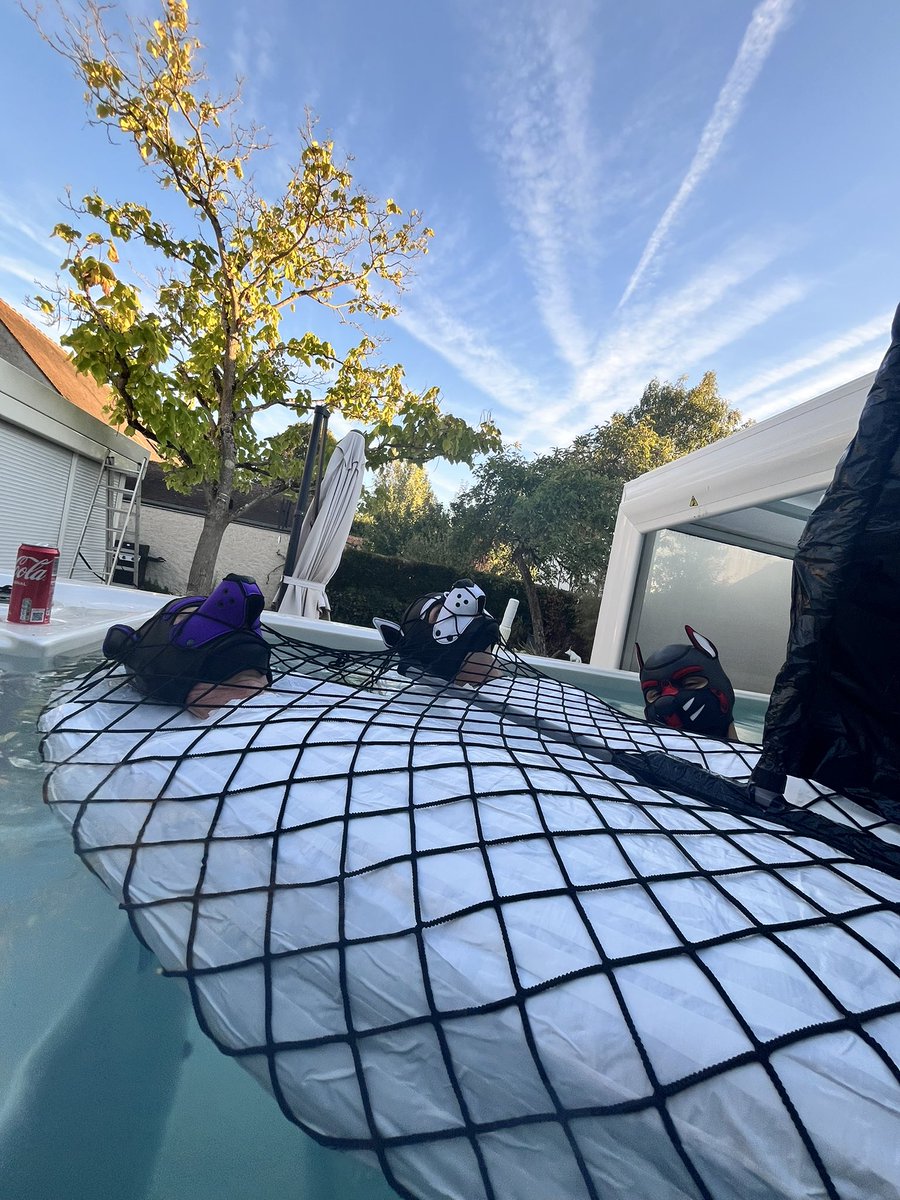 Frenchy_pup's tweet photo. Transformed @pupkalli and @fresco1583 pup into a double momified catamaran. Who wants to ride them ? 😝 with @hantz45 https://t.co/te9ZF9y7HN