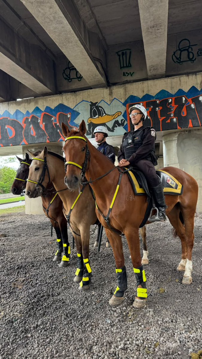 PMERJ's tweet photo. CAVALARIA DA PMERJ  |  #RockinRio

📍Policiais do #RPMont reforçam o policiamento na região do Rock in Rio, neste sábado (12).

#ServireProteger https://t.co/gMOlPuICdF