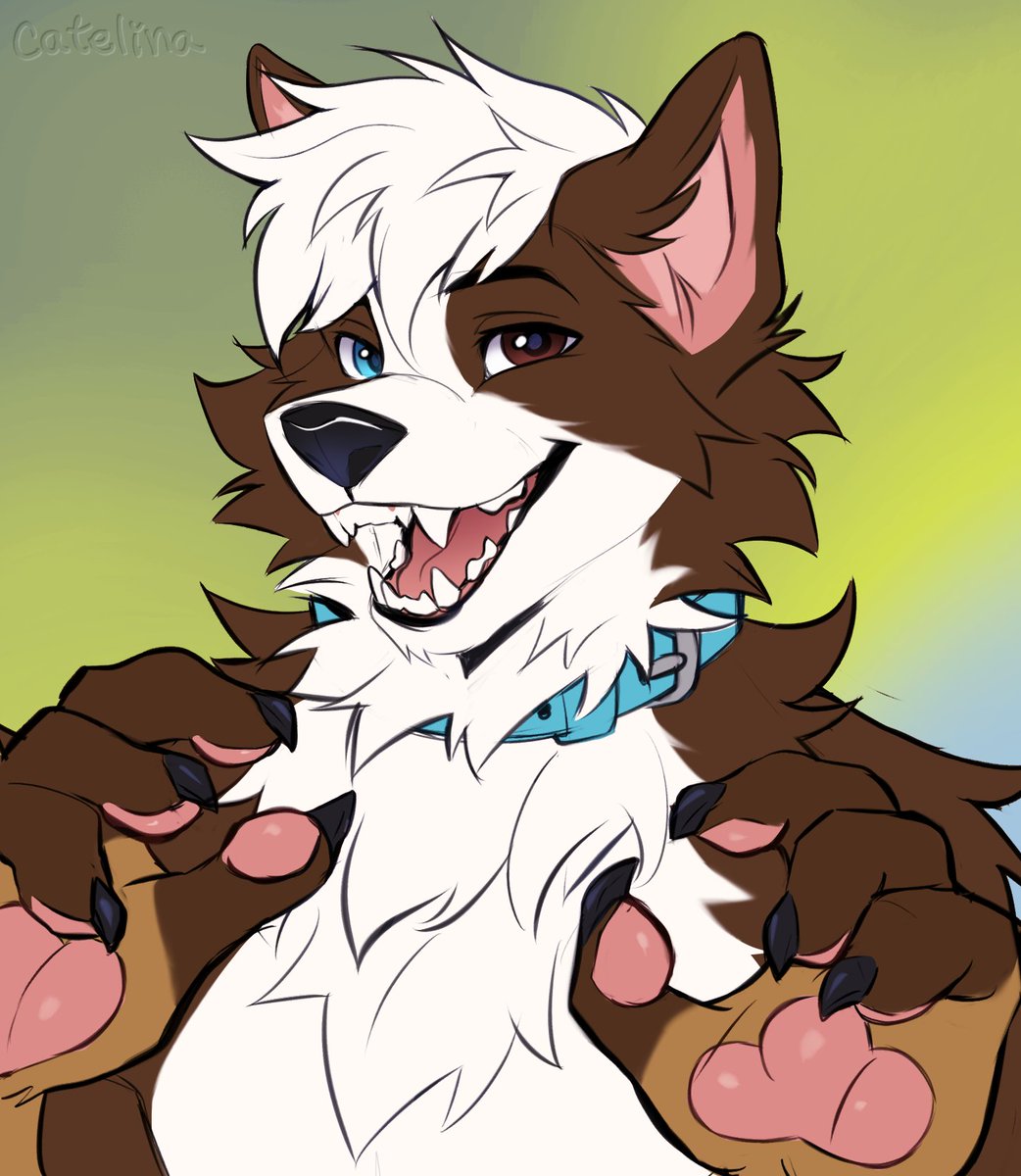 Furry_Angel18's tweet photo. 🩷OPEN COMMISSIONS 🩷
✨ Starting at $30 USD!
 Only 6 slots available for flat colors and rendered.

What I can do: 
• Headshots (like the examples below!)
• Half-body 
• Full-body 
📩 DM me (or  comment below) if you're interested or want to claim a slot! https://t.co/sAj0PwOsJV