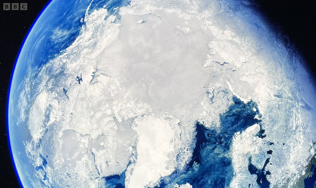 daveactv's tweet photo. Memory TV Captures: From late 2022 - 4 Screen captures from the wonderful BBC Documentary Series 'Frozen Planet II' images from a mix of episodes #BBCNature #documentary #memory https://t.co/9lU2sitdzd