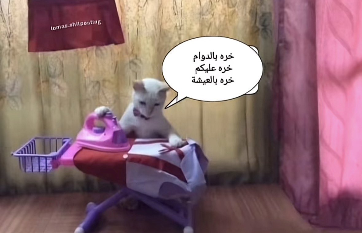 Lxoxo_111's tweet photo. روتيني طول الاسبوع https://t.co/NB1emkzkm9