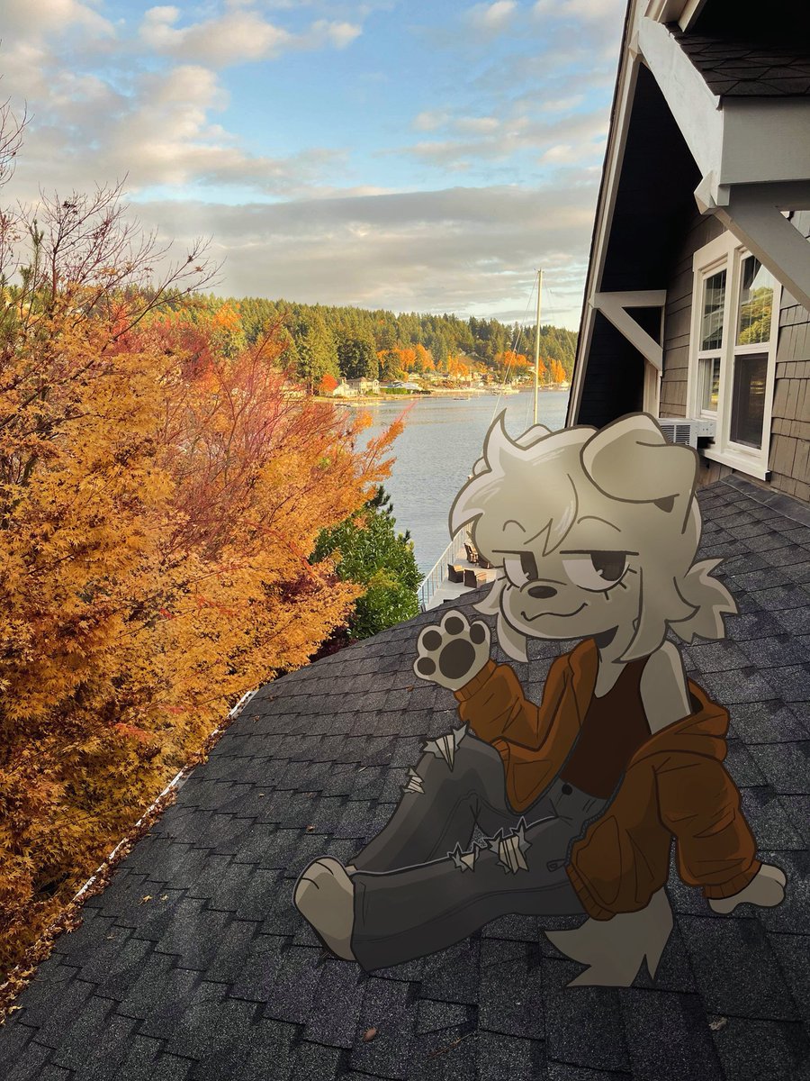 bearsockz's tweet photo. autumn :) https://t.co/2zSr7GoF5n