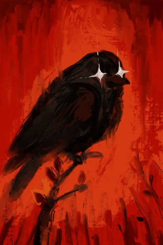 guilhernunes_'s tweet photo. friendly bird https://t.co/1sjdIkt9u8