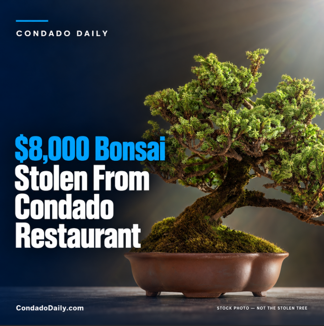 CondadoDaily tweet picture