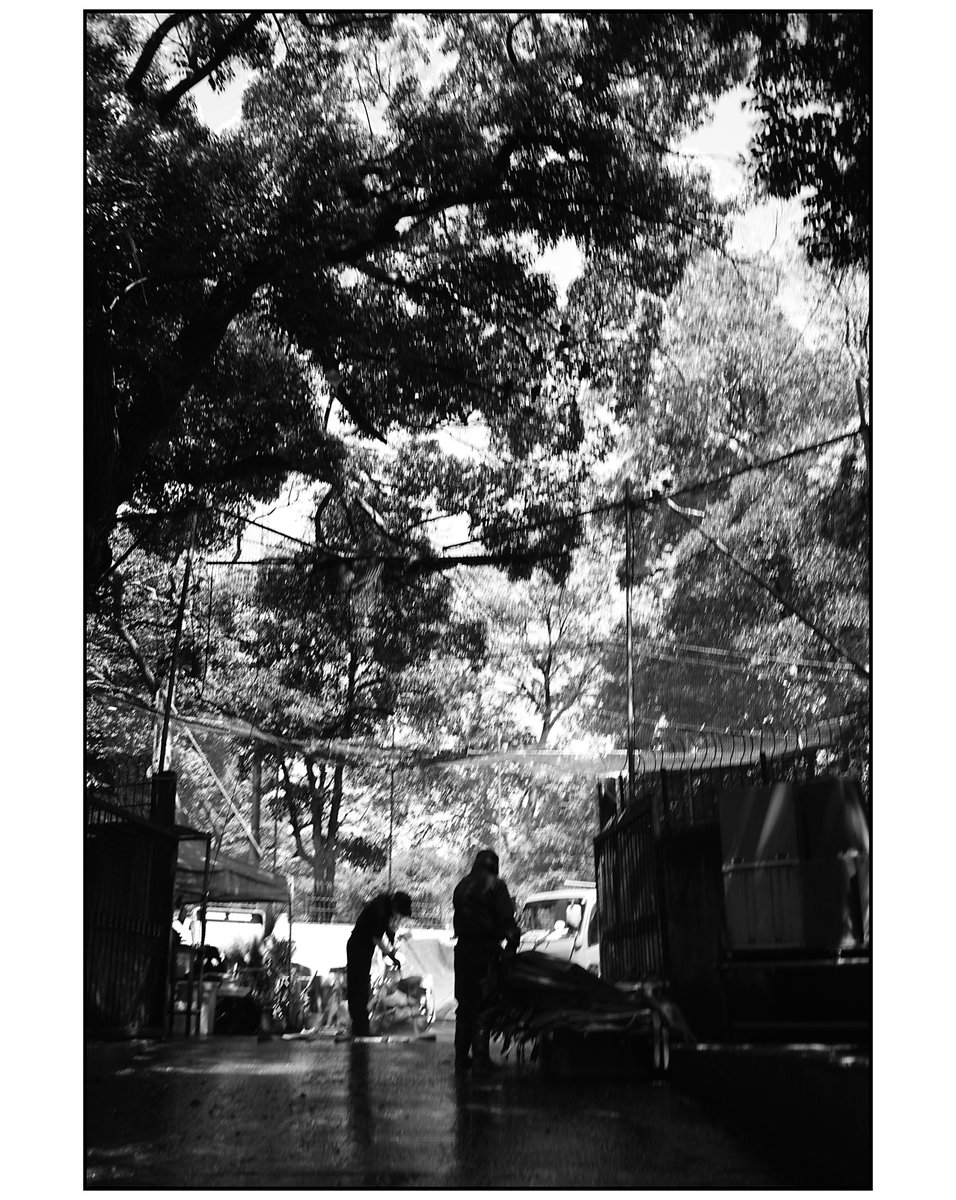 paco_mjp's tweet photo. 2026/05/05 湯島-上野広小路-上野
sony a7c canon serenar 28mm f3.5
#streetsnap #roadside #blackandwhitephotography
#上野 #ueno #上野恩賜公園 #sony #sonyalpha #canon #serenar #street #streetphotography #road #roadsidephotography #monochrome #blackandwhite #bnw #bnwphotography https://t.co/flmBil3J95