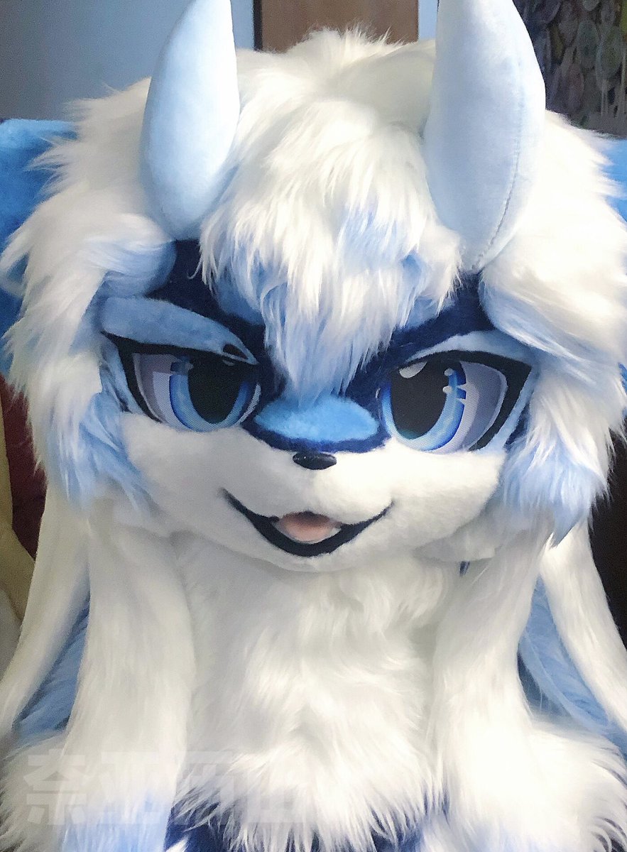 Anason_2333's tweet photo. 委托展示🪡🧵
#furry  #fursuit  #fursuitwalk https://t.co/JmISSf3lFA