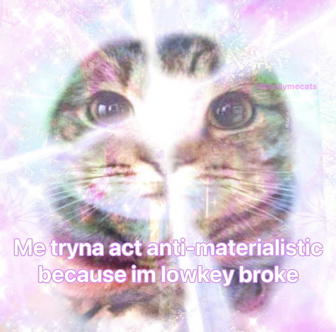 literallymecats's tweet photo. https://t.co/LQKQlhhZYd