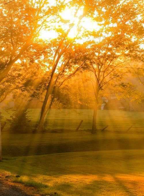 SellersDale's tweet photo. Never forget that there are #blessings to be found even in the #simple things of #life. Sunlight on the face...a lick from a dog (maybe)...a laughing baby...you get the picture? Turn your attention outwards for a #changeโyouโll be glad you did. #awareness
https://t.co/OMEDD3TET5 https://t.co/9XmAyO2czl