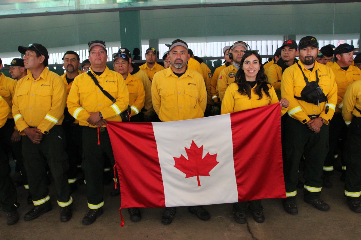 CONAFOR's tweet photo. El último contingente de combatientes mexicanos enviado a Canadá concluyó con éxito su misión👩🏽‍🚒 🎖️ . Con su retorno, concluye la participación de México en el apoyo a la atención de incendios forestales en ese país🇲🇽🤝🇨🇦. https://t.co/zVzRMuXrym