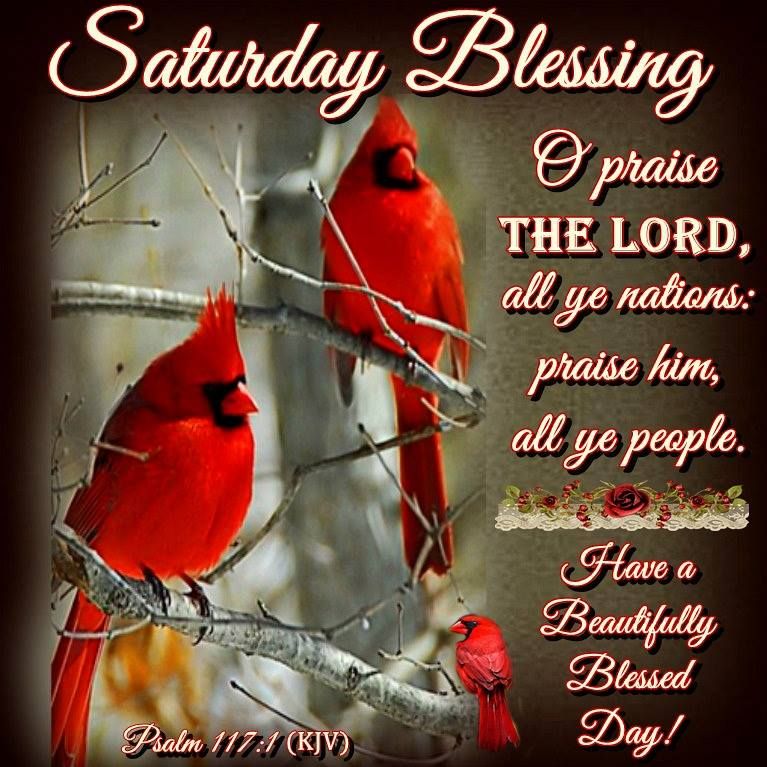 ConnieCline25's tweet photo. #SaturdayBlessings https://t.co/MXuZzyv6H4