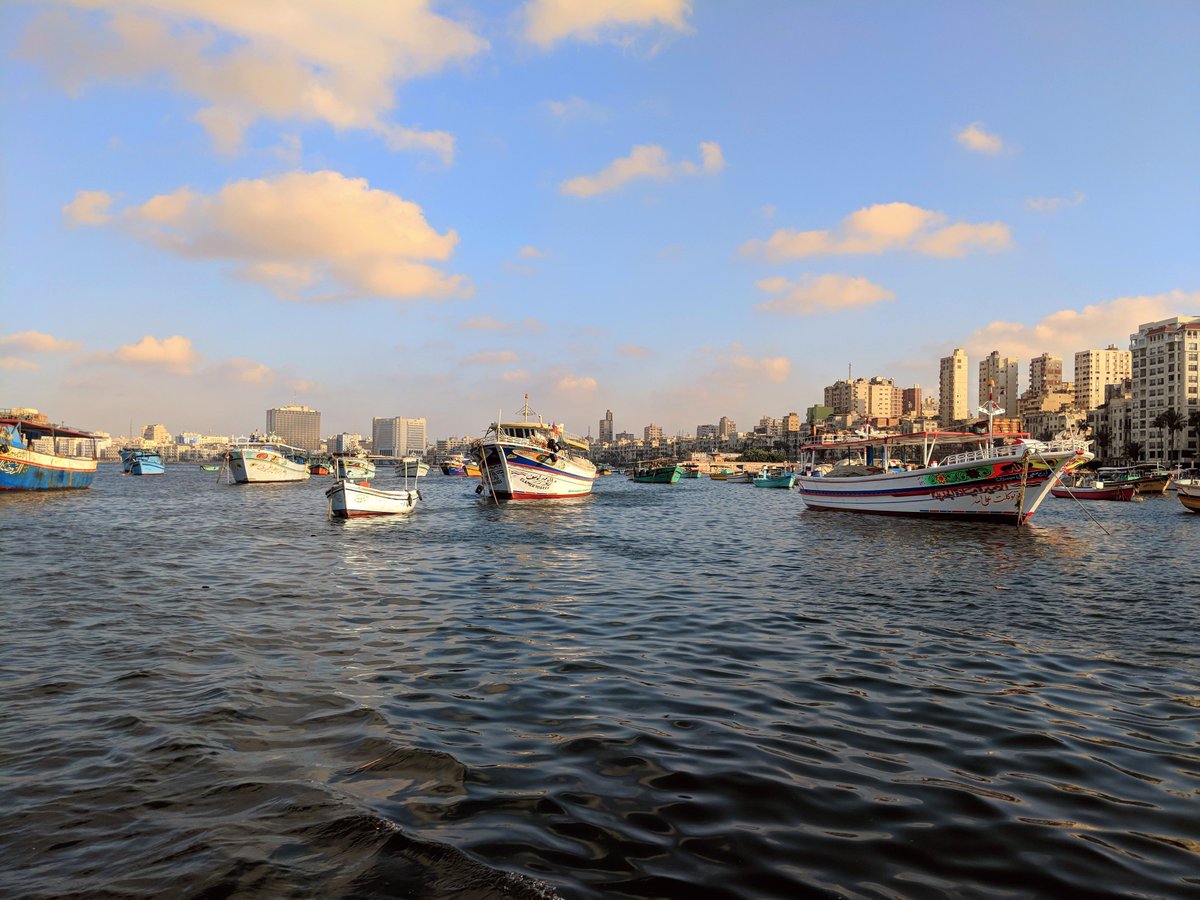 Cairo_Cipher tweet picture