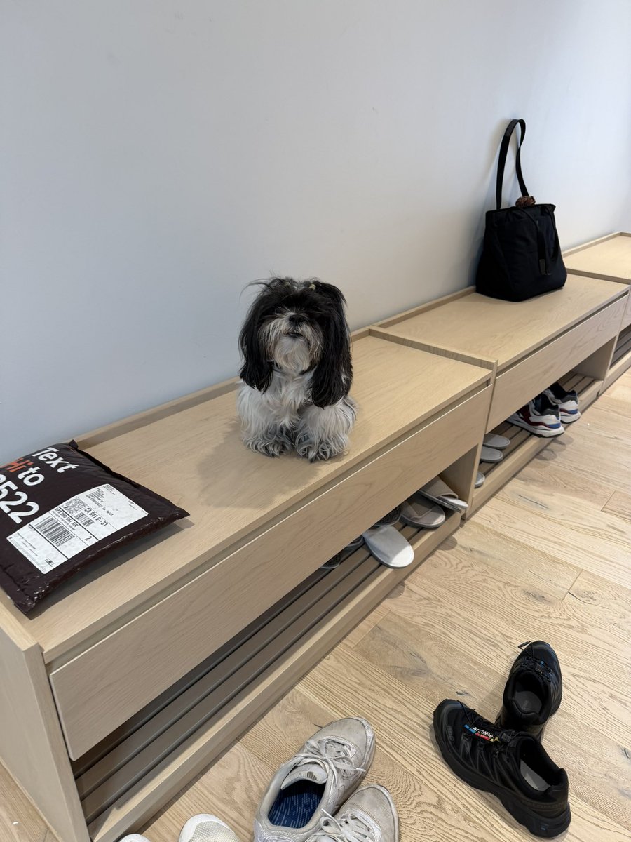 kelliscatalog's tweet photo. bts at the @heyclicky hq leading up to the newest update :) https://t.co/E5XAoqR6gY