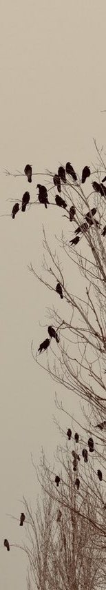 zhrazere's tweet photo. 🖤 https://t.co/GhiGzOELmG