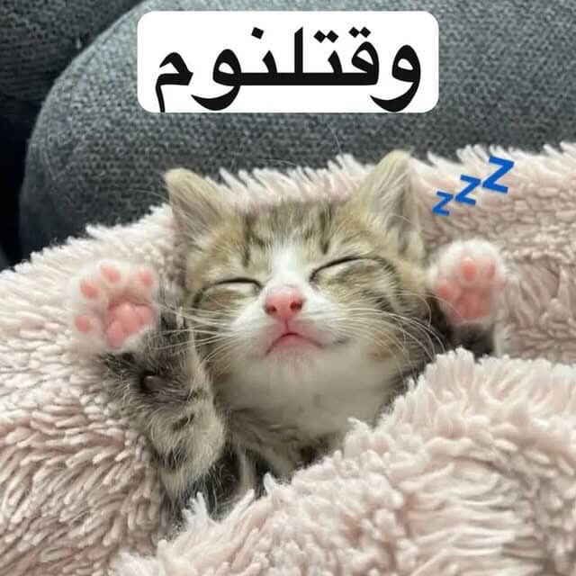 A959oc's tweet photo. 😴😴 https://t.co/xmBXx0SJdH