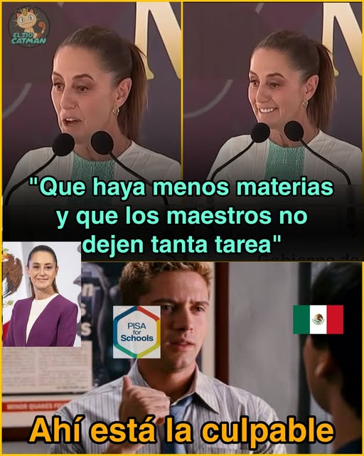 PILOTO63's tweet photo. UNA BURRA AL FRENTE DE MILLONES DE BURRITOS https://t.co/jsrT3fMVfB