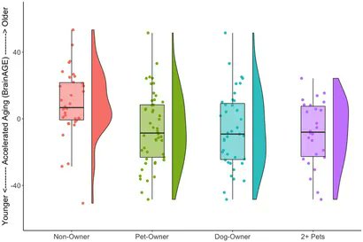 siimland's tweet photo. Pet owners have ~15 years younger predicted brain age than non-pet owners

Pet ownership, especially dogs, is robustly associated with better cognitive and structural brain health, especially in older adults.

Study: PMID: 36337704 https://t.co/zwqZiOnKzk
