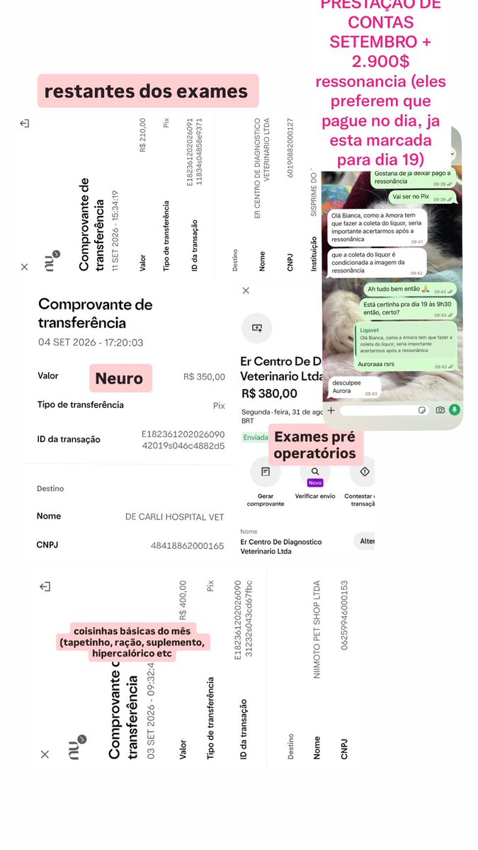 sonzapetsch's tweet photo. PRESTAÇÃO DE CONTAS SETEMBRO ATÉ O MOMENTO! 🩷 o valor já está em 4.200$ eu to desesperada pq ainda tem o resto do mês pra bancar a Aurora, me desculpem postar a rifinha de novo.. mas preciso muito vender ela! 1 real já faz diferença! Atualizada 👇🏻

🔑 auroracalvinha@gmail.com https://t.co/x2TPiWJRCl