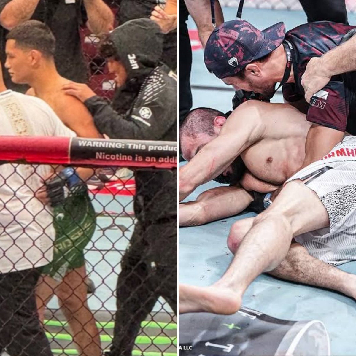 OutOfC0ntextMMA's tweet photo. Raul Rosas Jr watched his own brother get knocked out worse than Umar Nurmagomedov

STILL he didn’t jump in the cage https://t.co/KXc35IjRsS