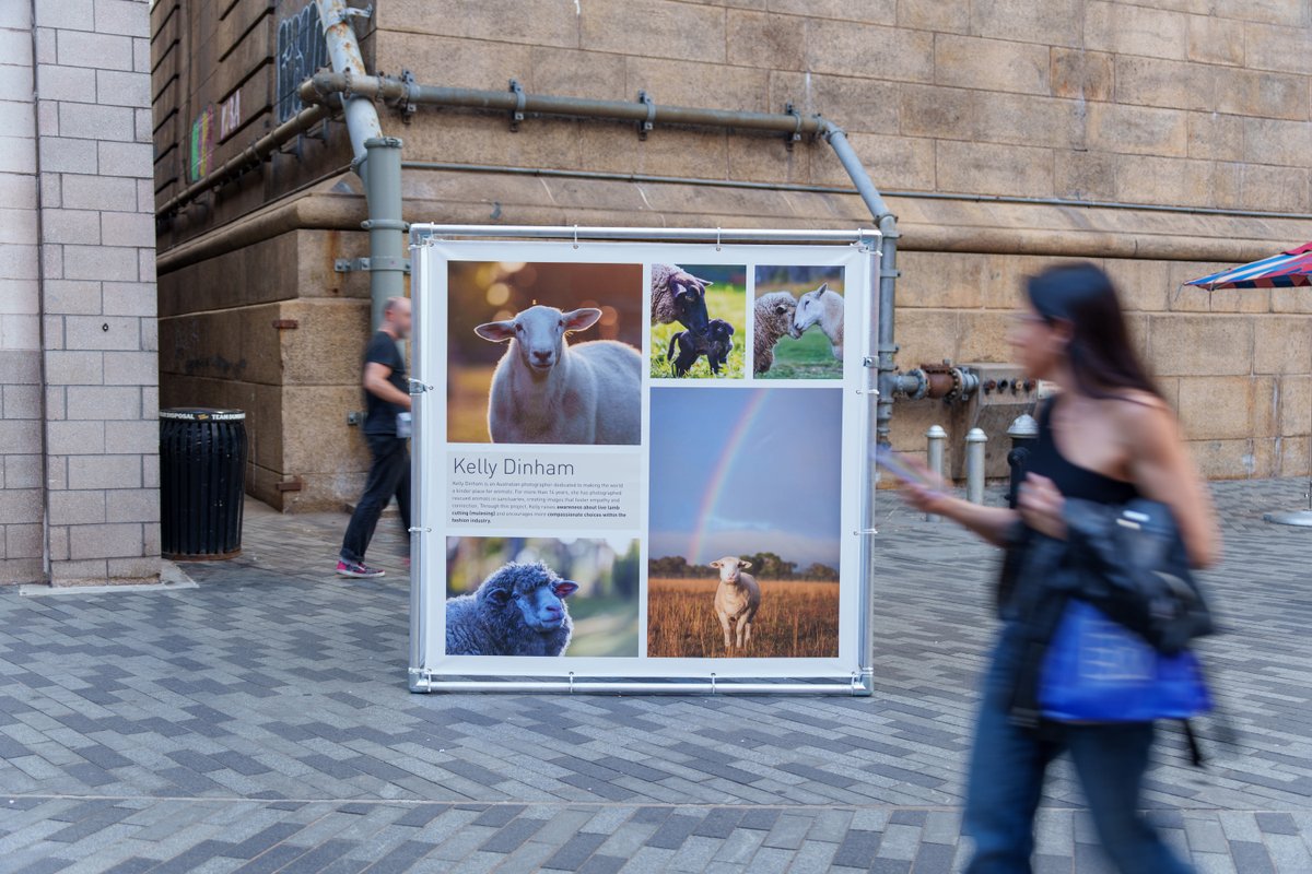 fourpawsint's tweet photo. 🐑 Counting Sheep during New York Fashion Week
Featured artists: Jo-Anne McArthur &amp; Kelly Dinham of @WeAnimals.
Visit the Photoville cubes at DUMBO’s Archway in Brooklyn and learn about live lamb cutting . Ask @MichaelKors for wool transparency. #CountingSheepNYC https://t.co/cqhqQCPWMu