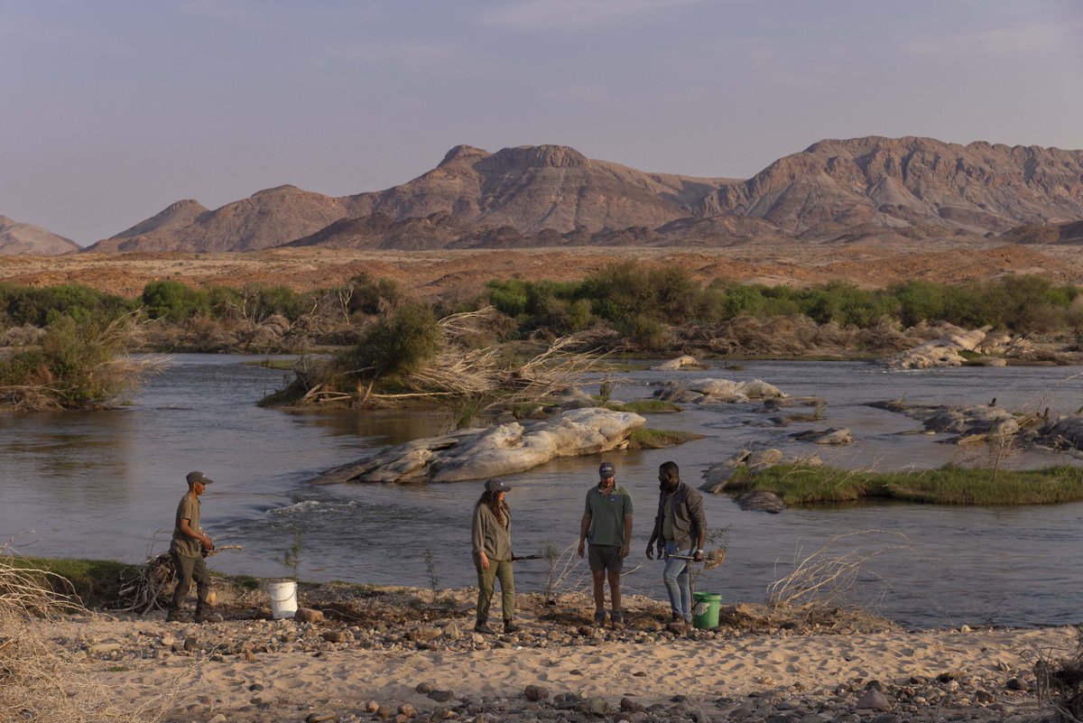 theGEF's tweet photo. In this #GEFVoices interview, Nabot Mbeeli shares how community-led conservation and re-wilding are helping restore landscapes while supporting people and nature in #Namibia.

Read more: https://t.co/T0tUOVRCW6

@NaturalStateOrg #CommunityConservation #LandscapeRestoration https://t.co/NzY1cKcd3R