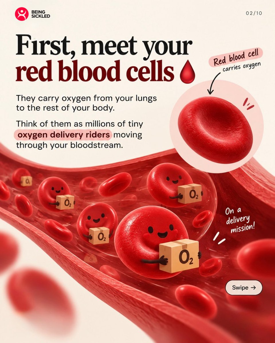 beingsickled's tweet photo. Okay, but what actually IS sickle cell?
We hear about sickle cell all the time, but not everyone understands what's actually happening inside the body.
Here's a simple breakdown without the medical textbook.
#SickleCellAwarenessMonth #beingsickled #sicklecell https://t.co/bv4U0azj6P