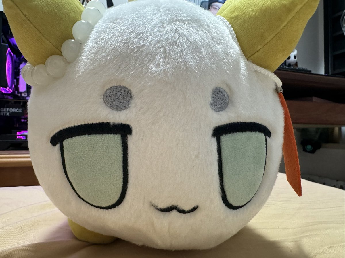 wsmttzmk's tweet photo. @Meng0o0 你难道不想要一个大夕瓜跟黍黍吗🤓 https://t.co/N2854N6QgF