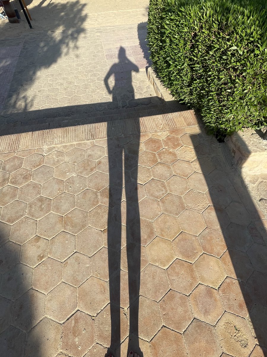 SoftToDarkVIP's tweet photo. Long shadow, long walk, longer story behind why my feet get all the attention π Link's right here π https://t.co/QgviwQ8Aox
#toes #soles #amputee #SunnyWalk #ShadowPlay #ForYourEyesOnly https://t.co/WkhzIqm99Y