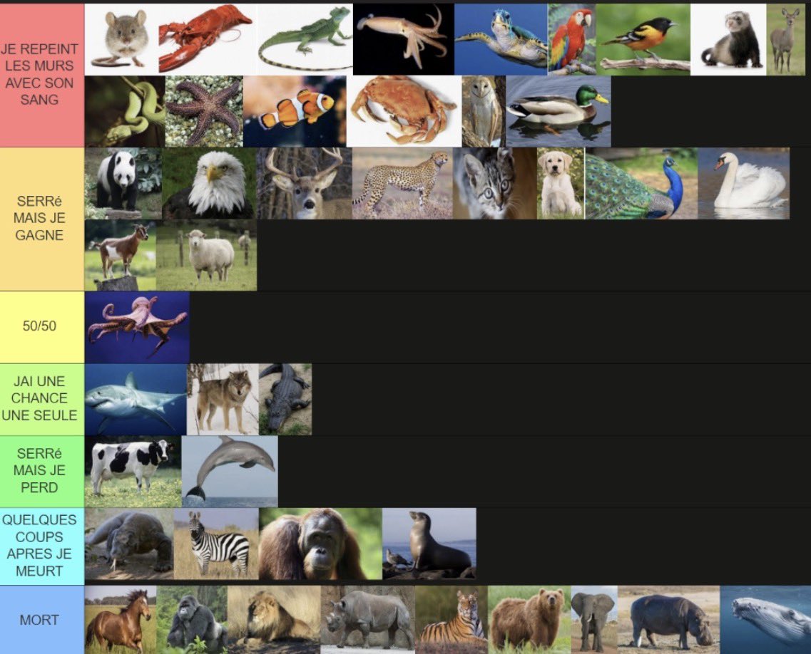KoumoBur's tweet photo. Tier List des animaux que je peux battre en pur 1v1 https://t.co/6f9CYcghus