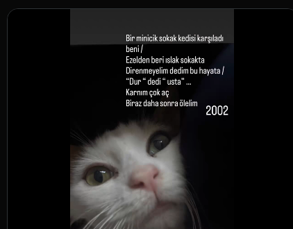 erginzade's tweet photo. https://t.co/U7enCniFXi