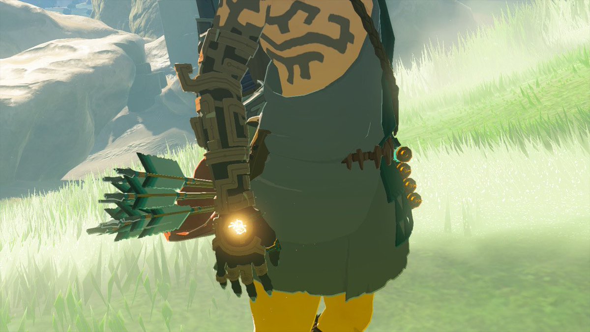 A1fnn's tweet photo. #TearsOfTheKingdom #NintendoSwitch2 https://t.co/exqKcswNJ3