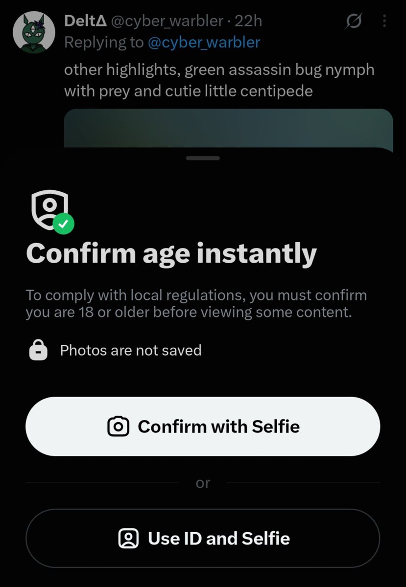 zpacey08's tweet photo. https://t.co/tdh0E5ynyd