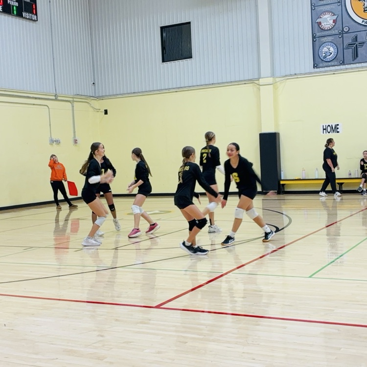 SPLSPanthers's tweet photo. 🖤💛Way to go Lady Panthers! 💛🖤 https://t.co/WQ650Bqjis