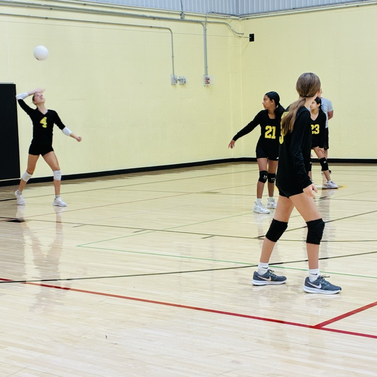 SPLSPanthers's tweet photo. 🖤💛Way to go Lady Panthers! 💛🖤 https://t.co/WQ650Bqjis