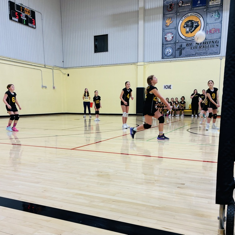 SPLSPanthers's tweet photo. 🖤Let's go, Panthers let's go!💛 https://t.co/1FO3AzY4QG