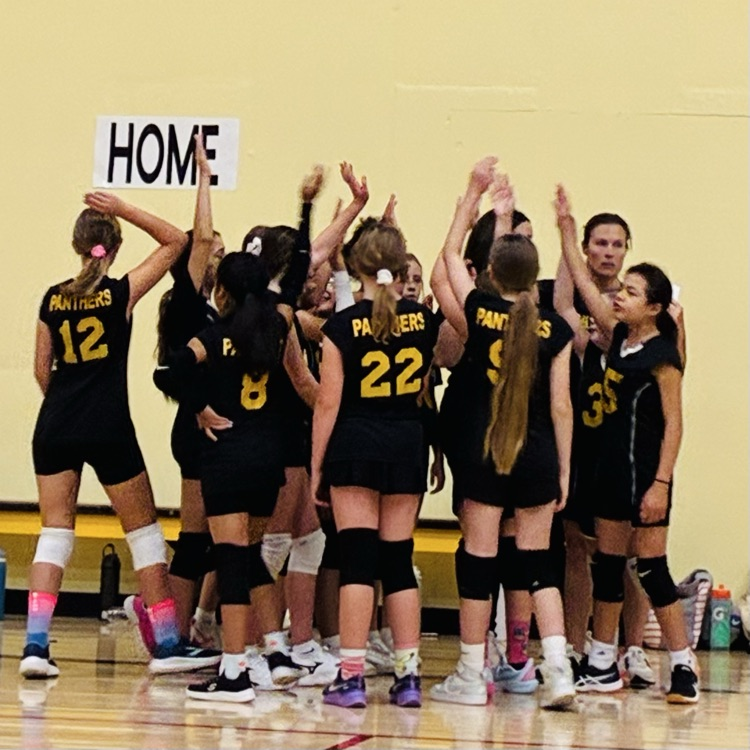 SPLSPanthers's tweet photo. 🖤Let's go, Panthers let's go!💛 https://t.co/1FO3AzY4QG