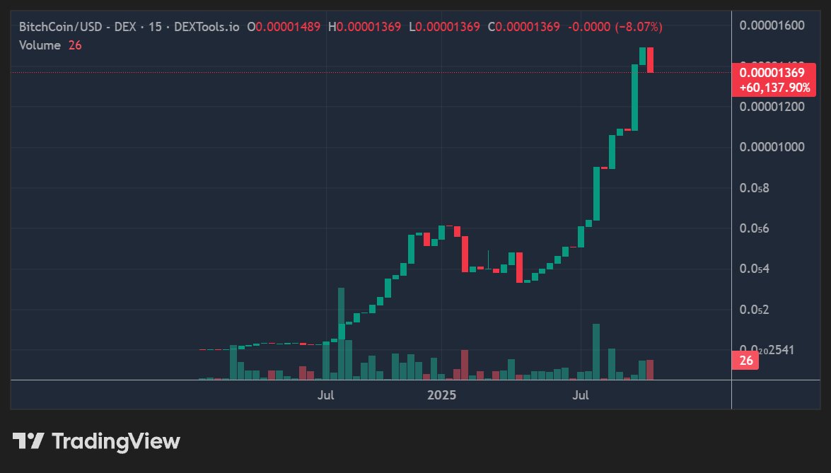 BitchCoinOnBase's tweet photo. @shaguncrypto They look alike, it's this one. https://t.co/VQp78LMTfb BTCH BitchCoin https://t.co/zBY1c1n2eO