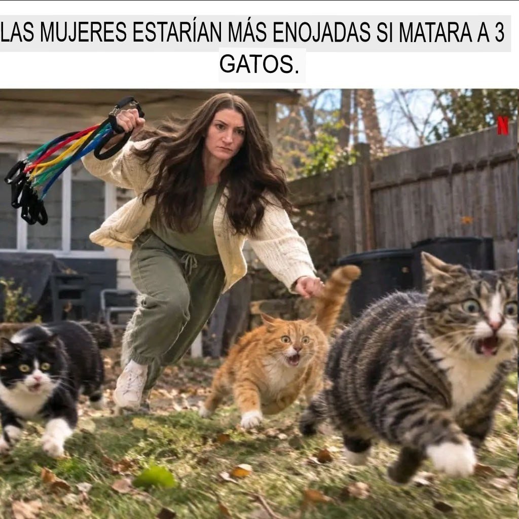 martamarco__'s tweet photo. Sure https://t.co/Y2loMyLcVH