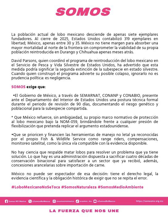 SomosMxMexico's tweet photo. 🗣️Trump amenaza con la segunda extinción del lobo mexicano.
#SOMOS exige que México actúe con evidencia, no con silencio. 👇 https://t.co/zb4Vw3hxQX