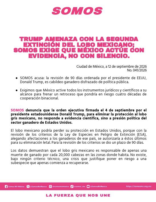 SomosMxMexico's tweet photo. 🗣️Trump amenaza con la segunda extinción del lobo mexicano.
#SOMOS exige que México actúe con evidencia, no con silencio. 👇 https://t.co/zb4Vw3hxQX