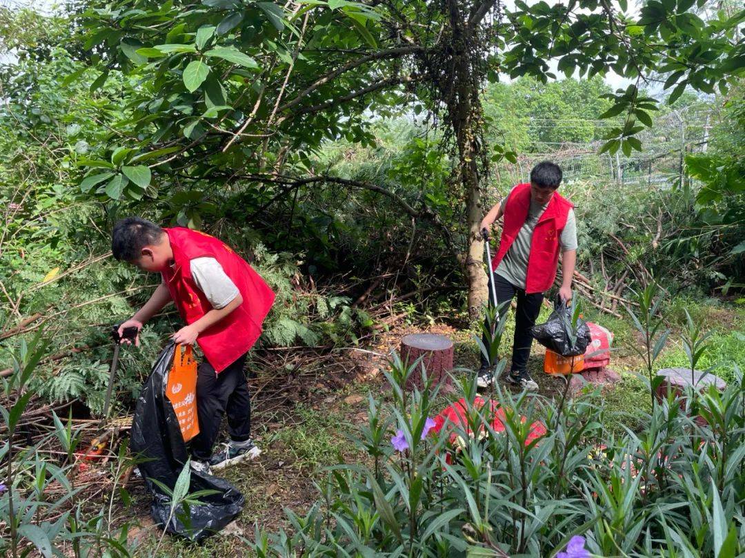 cecil157948's tweet photo. Just wrapped up 2 days of community park cleanup with 15 awesome volunteers! Picked up 20+ big bags of trash and planted 30 small saplings. Grateful for every hand that showed up to make our neighborhood greener ， https://t.co/BeCfvPavw7
